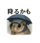 【梅雨入り】雨の日のニホンモモンガの会話（個別スタンプ：2）