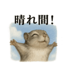 【梅雨入り】雨の日のニホンモモンガの会話（個別スタンプ：3）