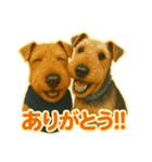 エアデールテリアのブン太すたんぷ（個別スタンプ：5）
