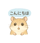 ハム⭐︎すたんぷ（個別スタンプ：2）