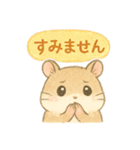 ハム⭐︎すたんぷ（個別スタンプ：4）