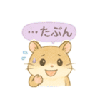 ハム⭐︎すたんぷ（個別スタンプ：8）