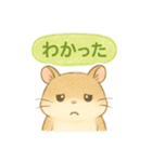 ハム⭐︎すたんぷ（個別スタンプ：10）