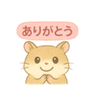 ハム⭐︎すたんぷ（個別スタンプ：11）