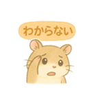 ハム⭐︎すたんぷ（個別スタンプ：13）