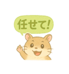 ハム⭐︎すたんぷ（個別スタンプ：16）