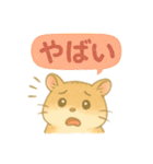 ハム⭐︎すたんぷ（個別スタンプ：20）