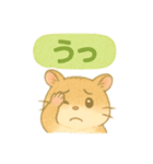 ハム⭐︎すたんぷ（個別スタンプ：21）