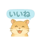 ハム⭐︎すたんぷ（個別スタンプ：22）