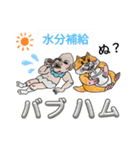 バブ ハム夏物語（個別スタンプ：3）