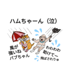 バブ ハム夏物語（個別スタンプ：39）