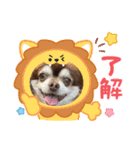 こてつスタンプnewver.（個別スタンプ：1）