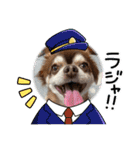 こてつスタンプnewver.（個別スタンプ：3）