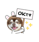 こてつスタンプnewver.（個別スタンプ：4）