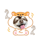 こてつスタンプnewver.（個別スタンプ：9）