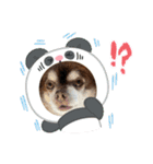 こてつスタンプnewver.（個別スタンプ：11）