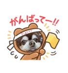 こてつスタンプnewver.（個別スタンプ：24）