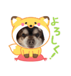 こてつスタンプnewver.（個別スタンプ：25）