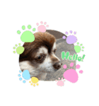 こてつスタンプnewver.（個別スタンプ：32）
