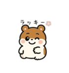 茶色のハムスター日本語バージョン（個別スタンプ：5）