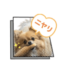 毎日ポテチに癒される【第5弾】（個別スタンプ：4）
