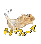 毎日ポテチに癒される【第5弾】（個別スタンプ：5）