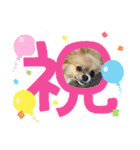 毎日ポテチに癒される【第5弾】（個別スタンプ：7）