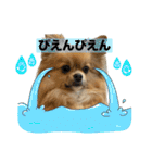 毎日ポテチに癒される【第5弾】（個別スタンプ：18）