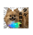 毎日ポテチに癒される【第5弾】（個別スタンプ：20）