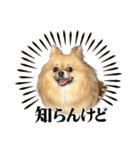 毎日ポテチに癒される【第5弾】（個別スタンプ：23）