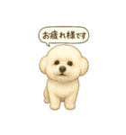 ビションフリーゼのALOすたんぷ（個別スタンプ：1）