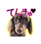LSTAMP10（個別スタンプ：1）