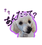 LSTAMP10（個別スタンプ：2）