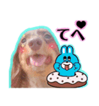 LSTAMP10（個別スタンプ：4）