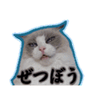 LSTAMP10（個別スタンプ：12）