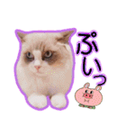 LSTAMP10（個別スタンプ：14）