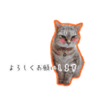 LSTAMP10（個別スタンプ：15）