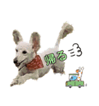 LSTAMP10（個別スタンプ：16）