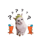 LSTAMP10（個別スタンプ：24）