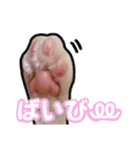 LSTAMP10（個別スタンプ：25）