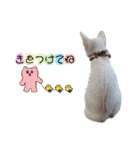 LSTAMP10（個別スタンプ：27）