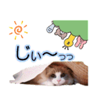 LSTAMP10（個別スタンプ：30）