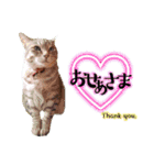 LSTAMP10（個別スタンプ：33）