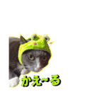 LSTAMP10（個別スタンプ：36）