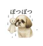 【梅雨入り】雨の日のシーズーの報告（個別スタンプ：5）