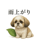 【梅雨入り】雨の日のシーズーの報告（個別スタンプ：6）