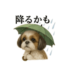【梅雨入り】雨の日のシーズーの報告（個別スタンプ：8）