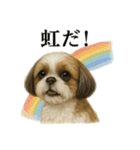 【梅雨入り】雨の日のシーズーの報告（個別スタンプ：13）