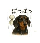 【梅雨入り】雨のミニチュアダックスフンド（個別スタンプ：10）