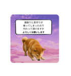 登校班グループで使える柴犬スタンプ（個別スタンプ：6）